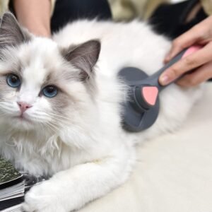 Escova para remoção de pelos de animais